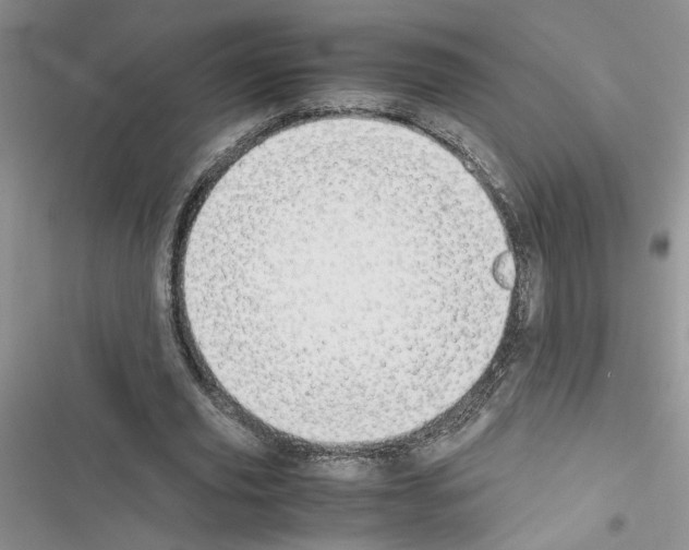 X0000116620629201001221340