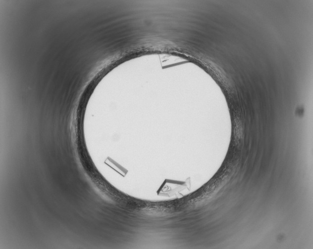 X0000116620630201001221340