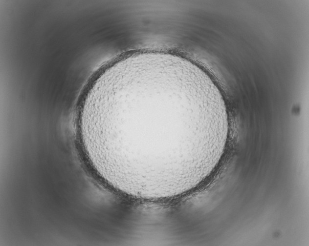 X0000116620632201001221340