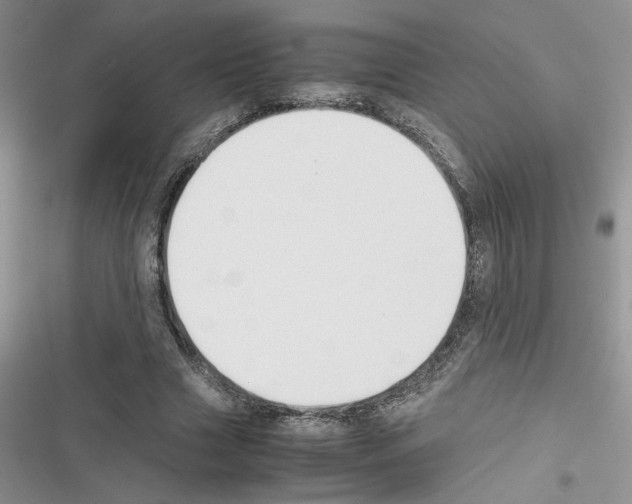 X0000116620633201001221340