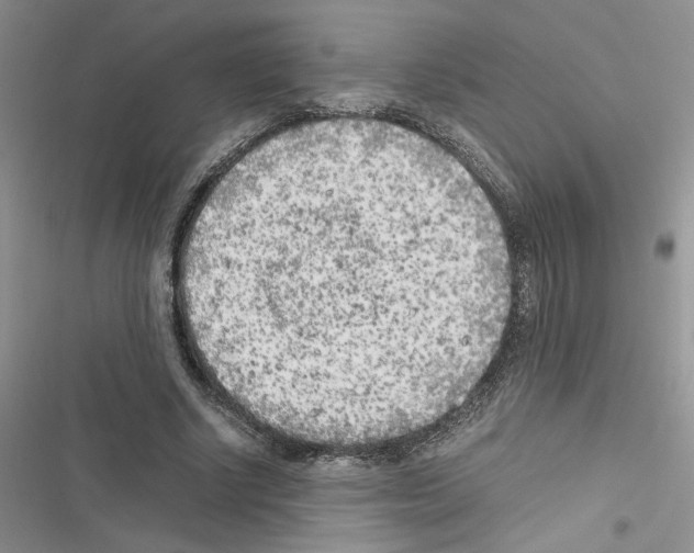 X0000116620634201001221340