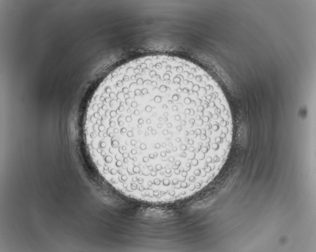X0000116620635201001221340