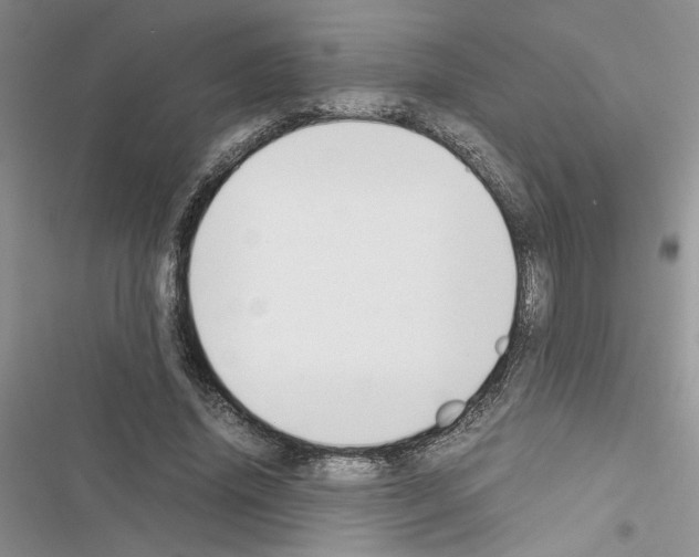 X0000116620636201001221340