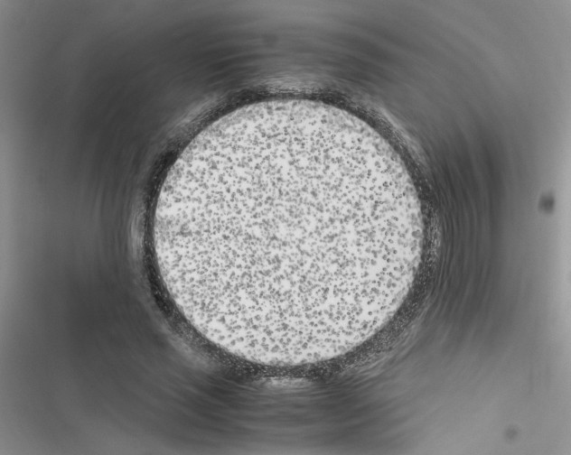 X0000116620637201001221340