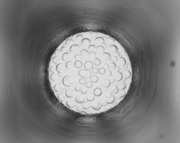 X0000116620639201001221340