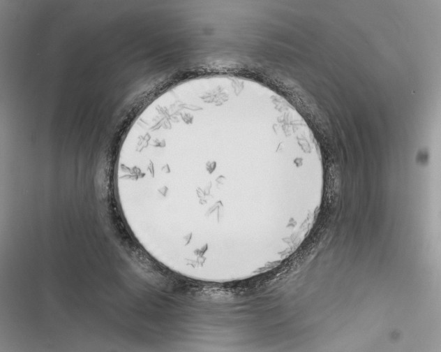 X0000116620640201001221340