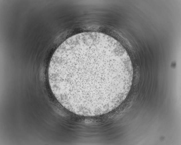 X0000116620641201001221340