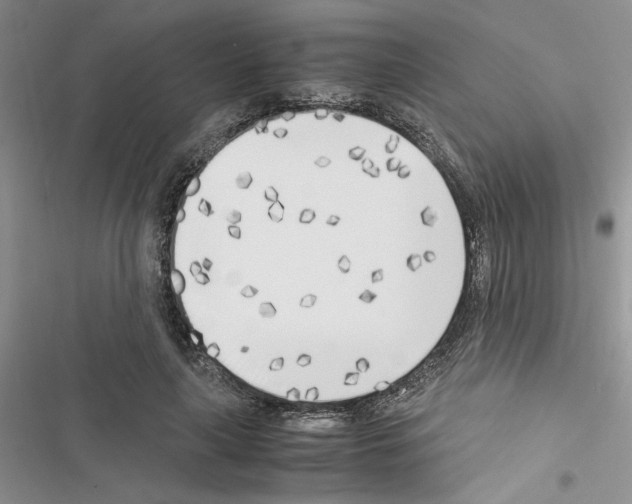 X0000116620643201001221340