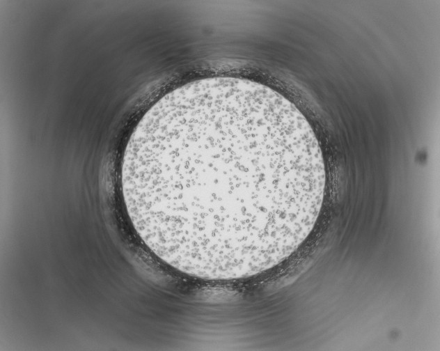 X0000116620644201001221340