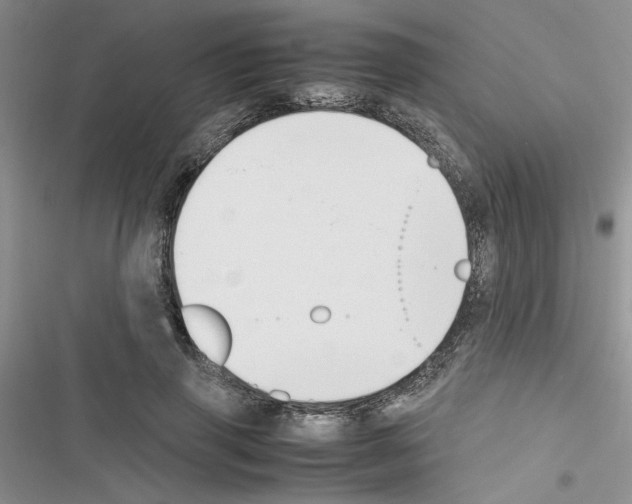 X0000116620645201001221341
