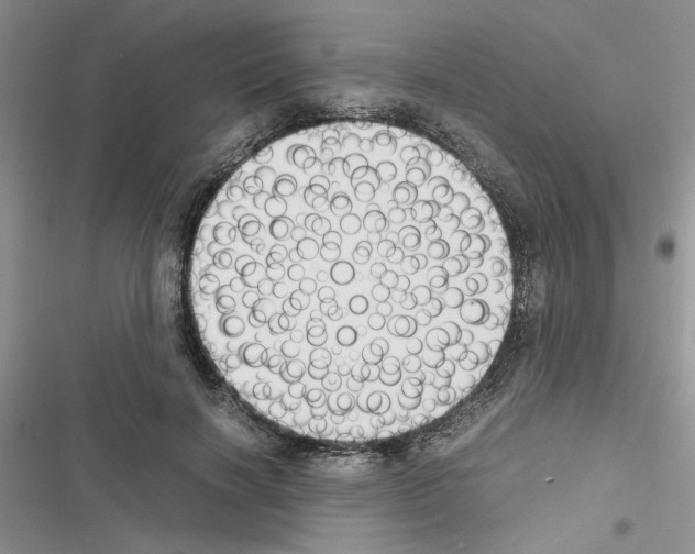 X0000116620646201001221341