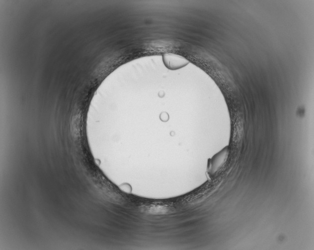 X0000116620647201001221341