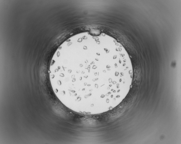 X0000116620648201001221341