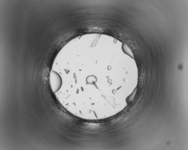 X0000116620649201001221341