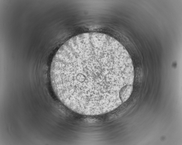 X0000116620650201001221341