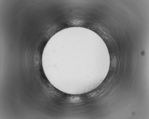 X0000116620651201001221341
