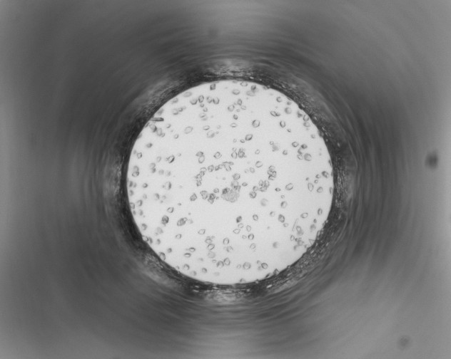 X0000116620652201001221341