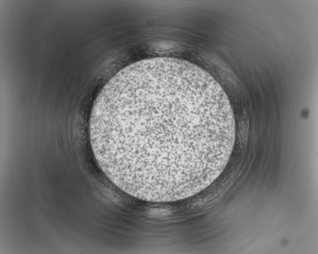X0000116620653201001221341