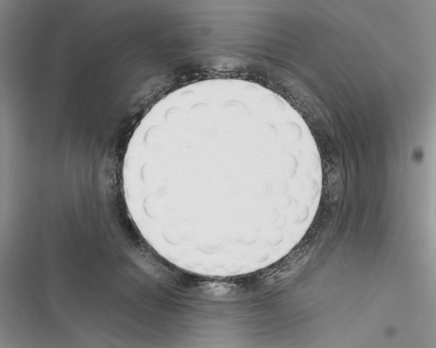 X0000116620654201001221341