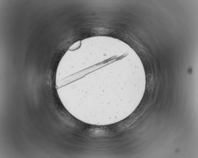 X0000116620655201001221341
