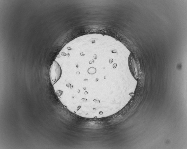 X0000116620657201001221341