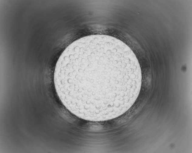 X0000116620658201001221341