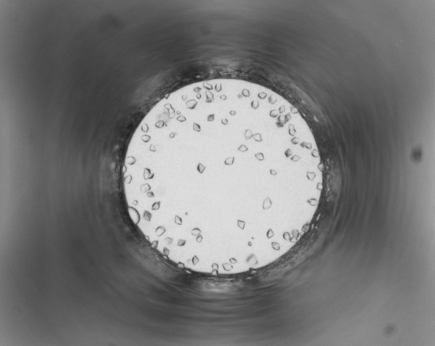 X0000116620661201001221341
