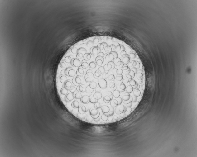 X0000116620662201001221341