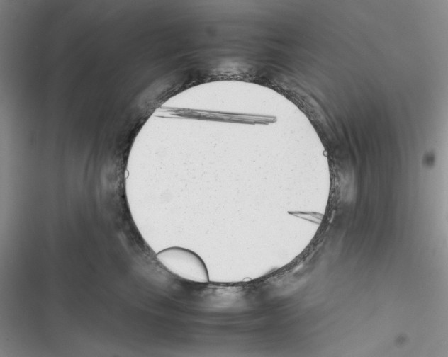 X0000116620665201001221341