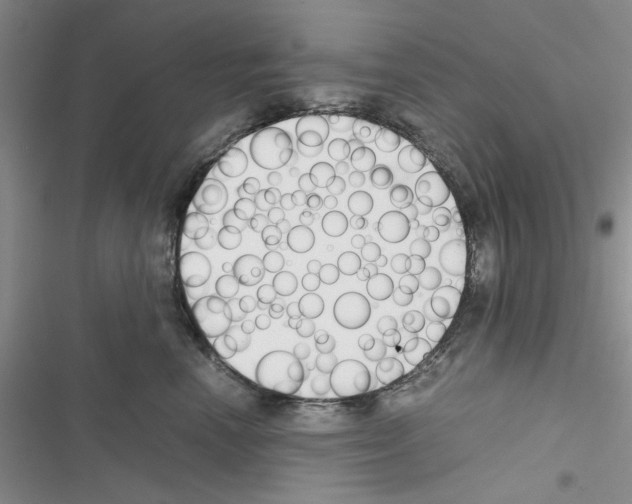 X0000116620666201001221341