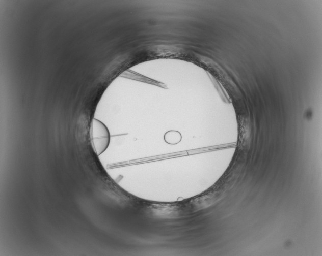 X0000116620667201001221341