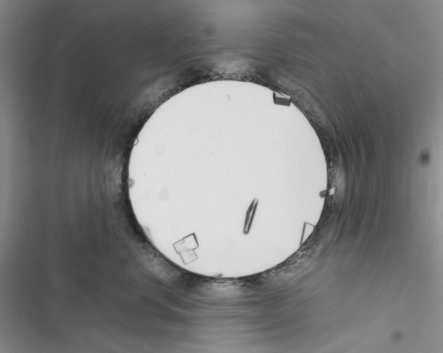 X0000116620668201001221341