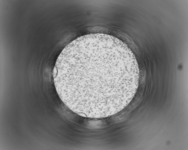 X0000116620669201001221341
