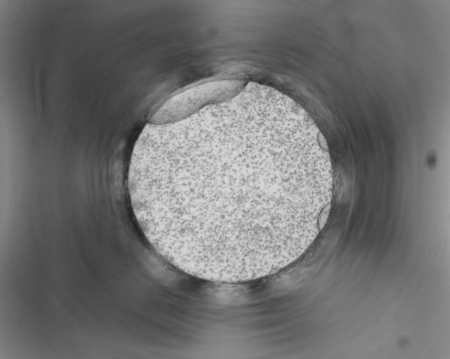 X0000116620670201001221341
