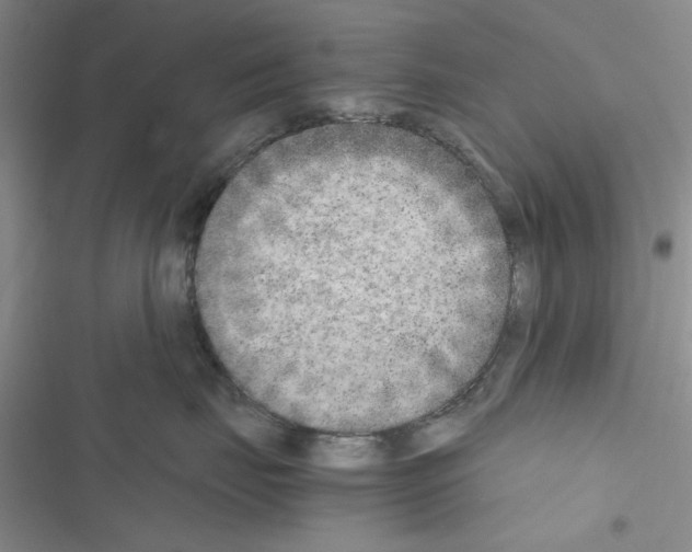 X0000116620671201001221341