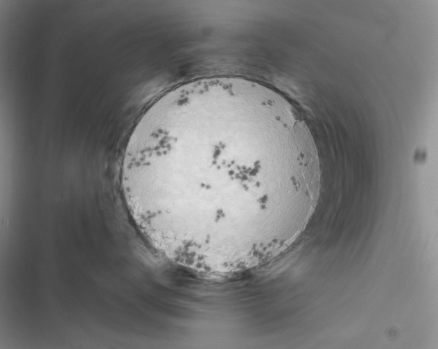 X0000116620672201001221341