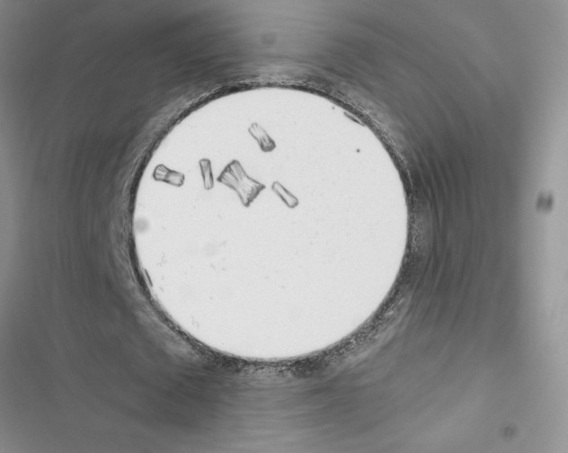 X0000116620673201001221340