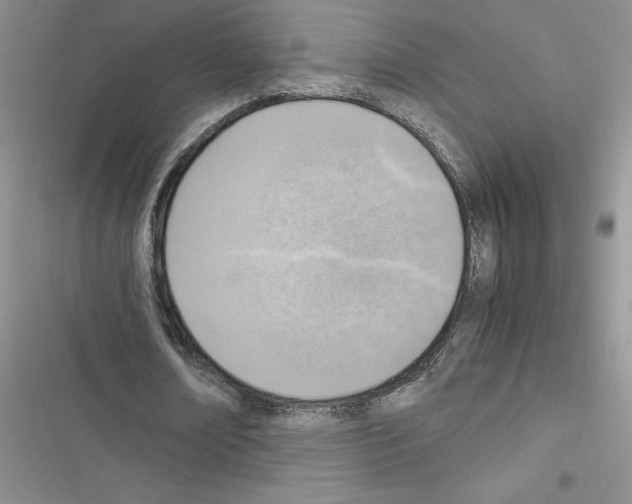 X0000116620674201001221340
