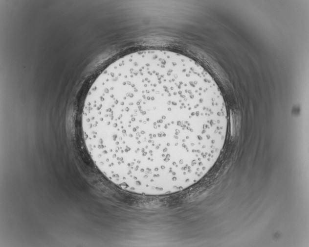 X0000116620675201001221340