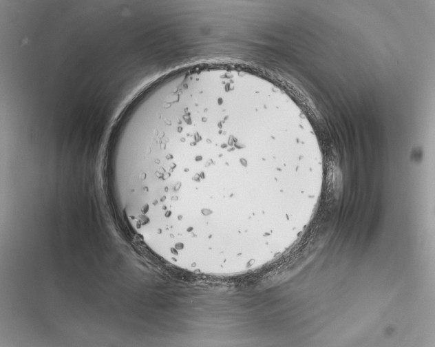 X0000116620676201001221340