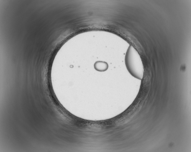 X0000116620677201001221340