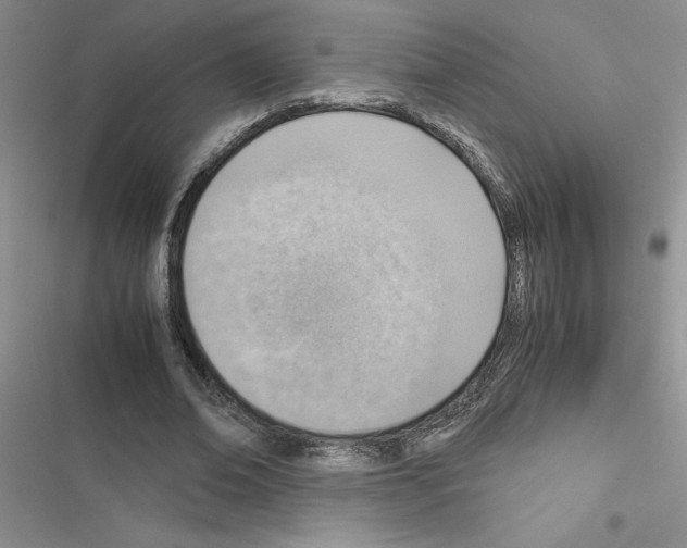 X0000116620678201001221340