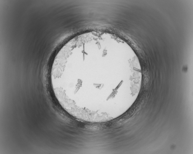 X0000116620679201001221340