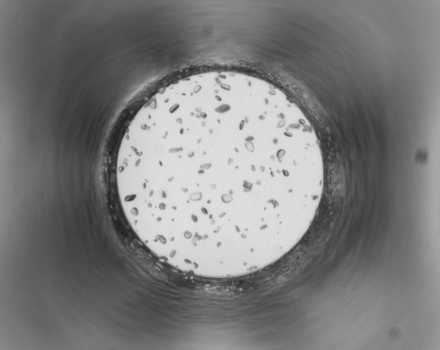 X0000116620680201001221340
