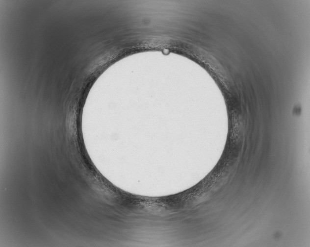 X0000116620681201001221340