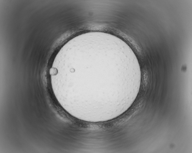 X0000116620682201001221340