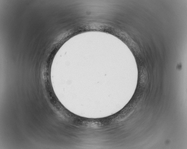 X0000116620683201001221340