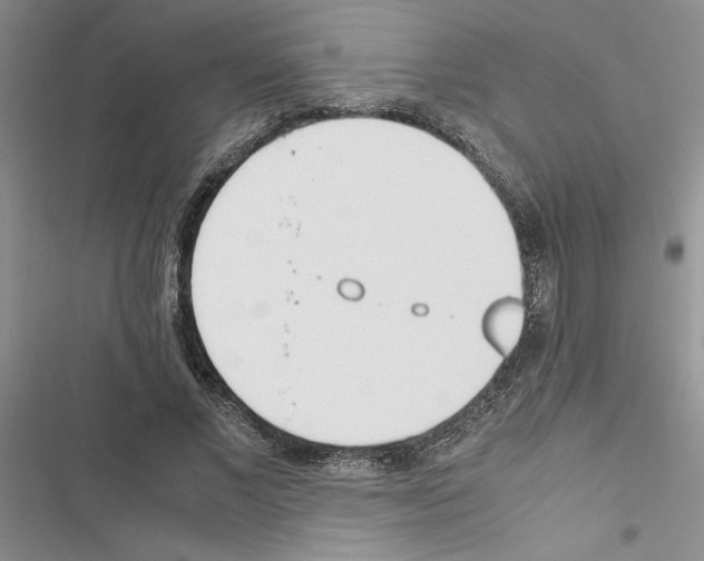 X0000116620685201001221340