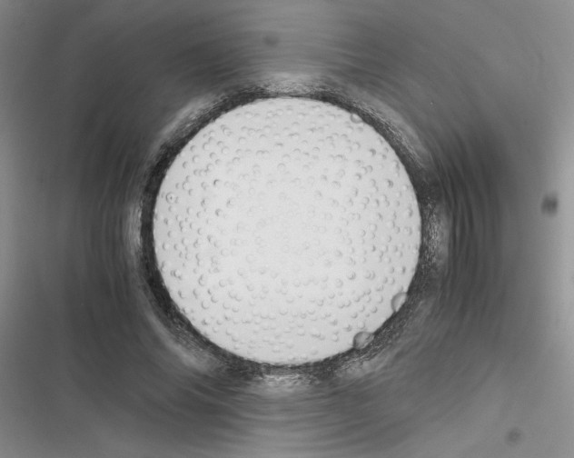 X0000116620686201001221340