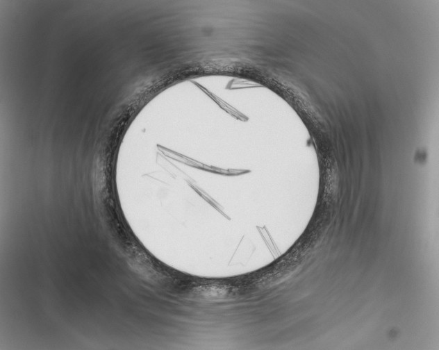 X0000116620687201001221340